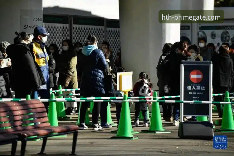 揭秘华体会体育平台：HTH华体会最新版本背后的安全与高效真相